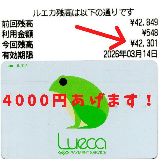 ショッピングゲオ　42301円分　4000円あげます！