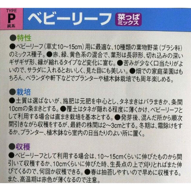 【簡単栽培‼️】ベビーリーフ菜っぱミックスの種 5ml 野菜 家庭菜園 タネ 種 食品/飲料/酒の食品(野菜)の商品写真