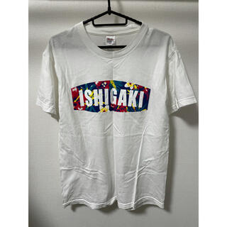 石垣島Tシャツ　Mサイズ(Tシャツ/カットソー(半袖/袖なし))