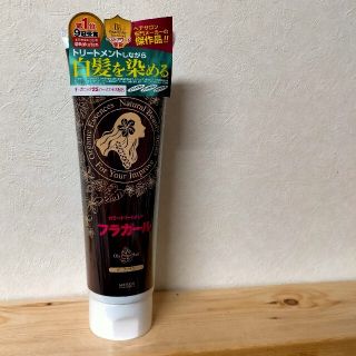 フラガール カラートリートメント ダークブラウン(250g)(白髪染め)