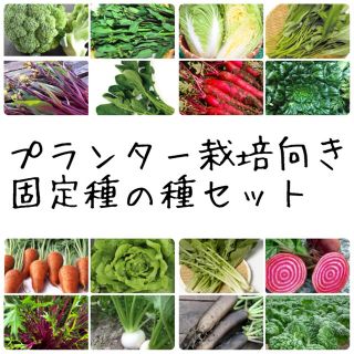 ★伝統野菜★プランター栽培向け固定種の種セット(野菜)