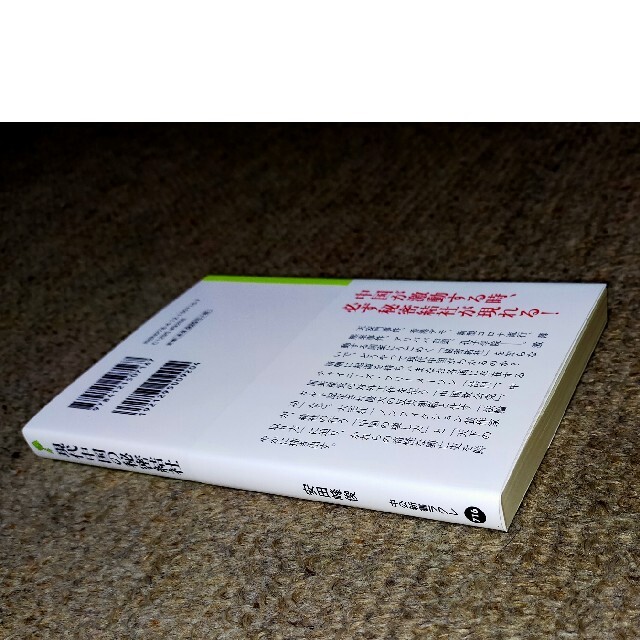 現代中国の秘密結社 マフィア、政党、カルトの興亡史 エンタメ/ホビーの本(文学/小説)の商品写真