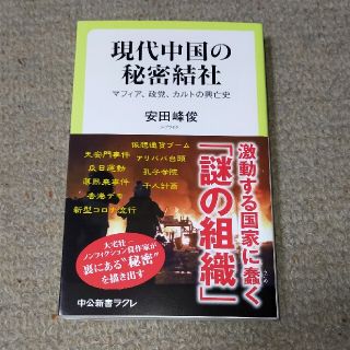 現代中国の秘密結社 マフィア、政党、カルトの興亡史(文学/小説)