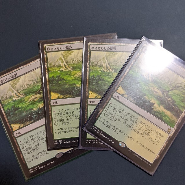 マジックmtg 吹きさらしの荒野　日本語　4枚