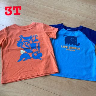 パタゴニア(patagonia)のpatagonia  Tシャツ　2枚セット　3T(Tシャツ/カットソー)