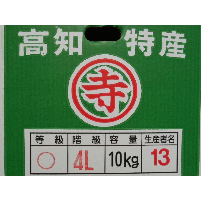 もものかさん専用　土佐文旦３～４L約１０ｋｇ　種生姜　北海道沖縄は、発送不可 食品/飲料/酒の食品(フルーツ)の商品写真