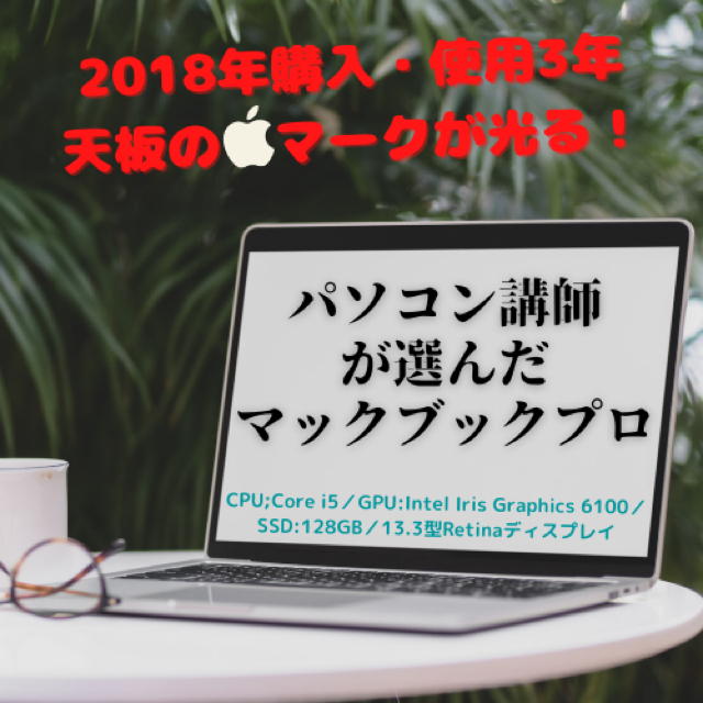 【大幅値下げ】MacBook Proリンゴが光る！今は生産されてないマックブック