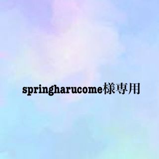 springharucome1215様専用ページ(その他)