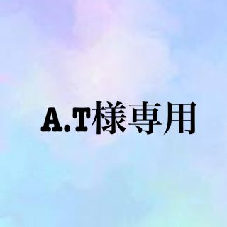 A.T様専用ページ(その他)