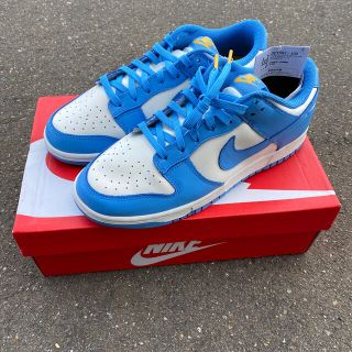 ナイキ(NIKE)のNIKE WMNS DUNK LOW COAST(スニーカー)