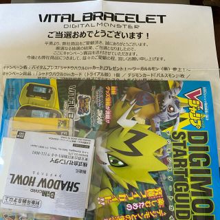 バンダイ(BANDAI)のデジモン　dimカード　シャドウハウル(キャラクターグッズ)