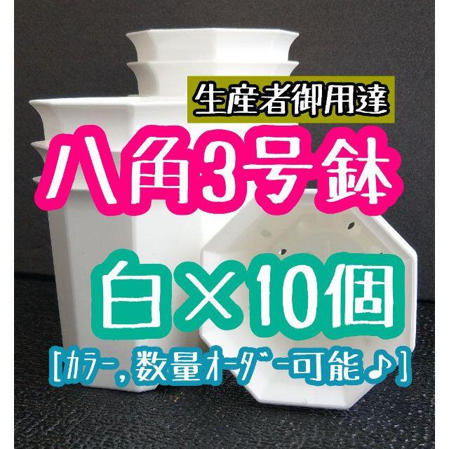 八角鉢 ◎10個◎ ホワイト 3号 3寸 プラ鉢 ミニ鉢 シャトル鉢 ハンドメイドのフラワー/ガーデン(プランター)の商品写真