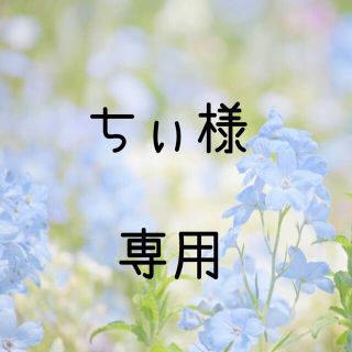 ちぃ様専用  お米　令和２年　愛媛県産キヌヒカリ　白米　20㎏(米/穀物)