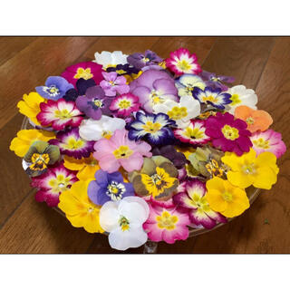 ① 銀の紫陽花が作った彩りビオラ➕ふんわり可愛い春色プリムラ山盛り70冠‼️(ドライフラワー)