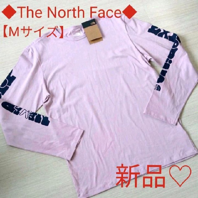 THE NORTH FACE(ザノースフェイス)の【新品・メンズ・Mサイズ】ノースフェイス　パーカー　ロンＴ　トレーナー メンズのトップス(Tシャツ/カットソー(七分/長袖))の商品写真