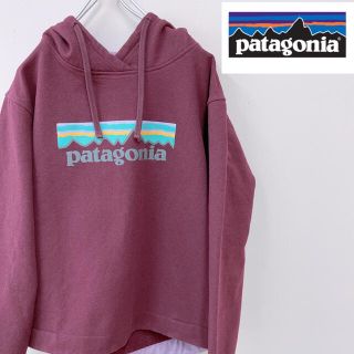 パタゴニア(patagonia)のpatagonia パタゴニア　パーカー　美品　紫　パープル　ビックロゴ(パーカー)