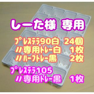 【スリット鉢】プレステラ90白24個＋専用システムトレー白1枚 他 多肉植物(プランター)