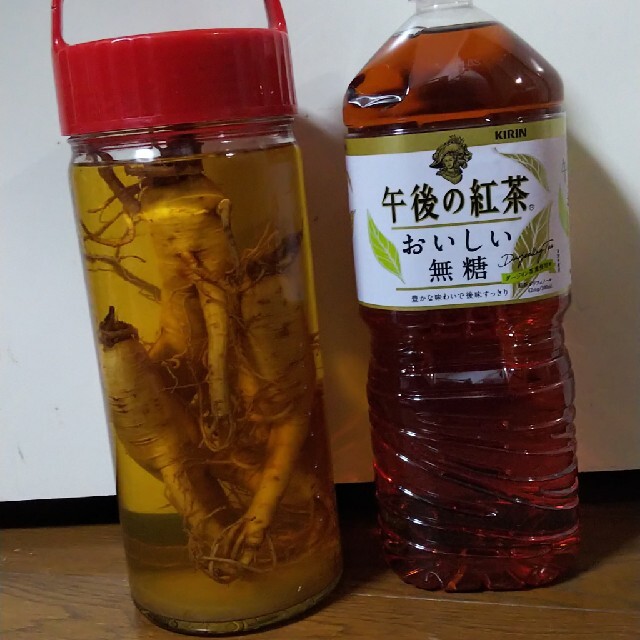 朝鮮ニンジン酒２８年物 食品/飲料/酒の健康食品(その他)の商品写真