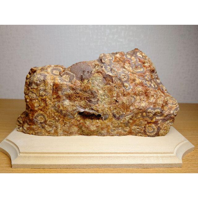 孔雀原石 2.2kg マラカイト 孔雀石 鑑賞石 紋石 梅花石 菊花石 水石