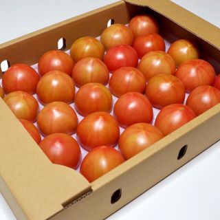 うみとまと28〜24玉　米村農園からお届け(野菜)