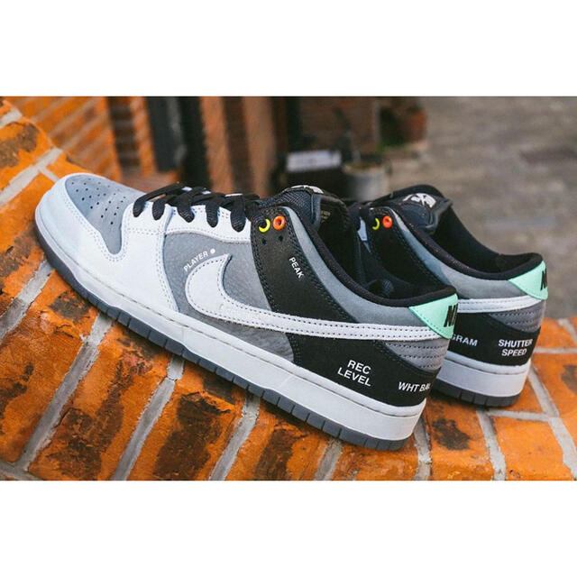 NIKE SB DUNK LOW PRO VX1000CAMCORDER ISO