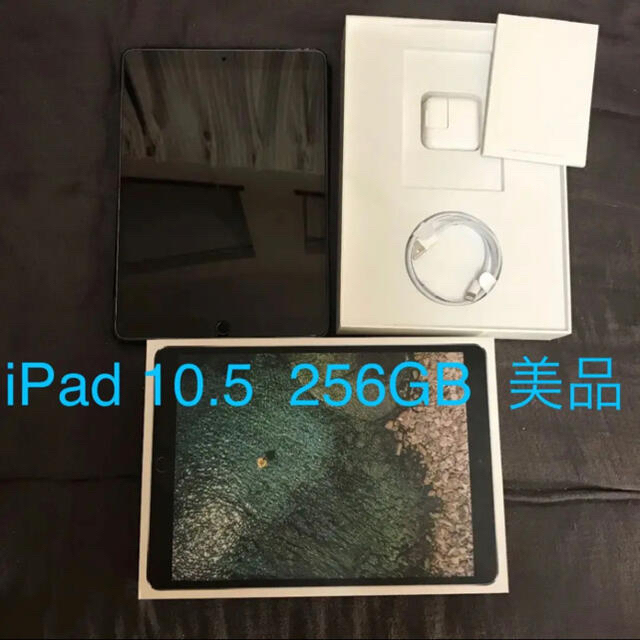 iPad pro 10.5 256GB