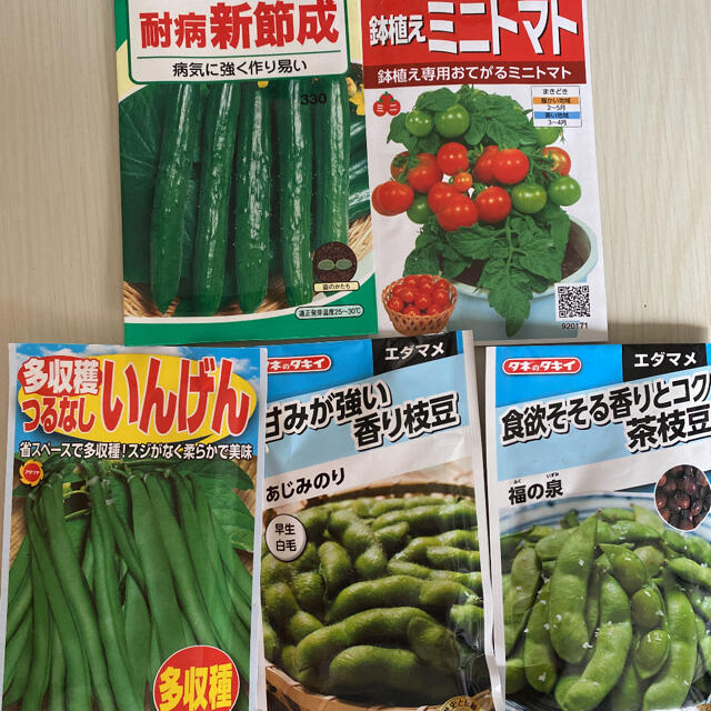 野菜の種7種類　きゅうり、ミニトマト、いんげん、枝豆、茶豆、小中かぶ、小松菜 食品/飲料/酒の食品(野菜)の商品写真