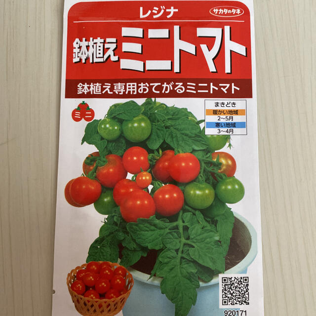 野菜の種7種類　きゅうり、ミニトマト、いんげん、枝豆、茶豆、小中かぶ、小松菜 食品/飲料/酒の食品(野菜)の商品写真