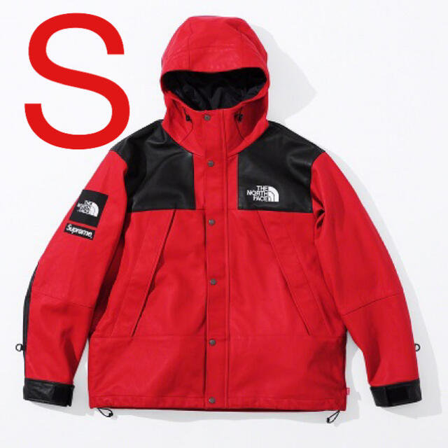 Supreme - The North Face Leather Mountain Parka
