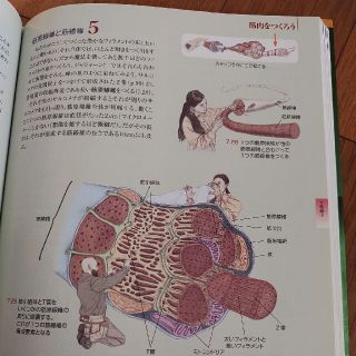 ボディ・ナビゲーション ムーブメント ―筋肉と骨と神経を組み立て、解剖と機能を…