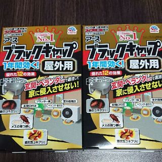 アースセイヤク(アース製薬)のブラックキャップ屋外用 8個入り×2箱(日用品/生活雑貨)