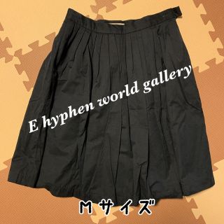 イーハイフンワールドギャラリー(E hyphen world gallery)のE hyphen world gallery フレアスカート ロングスカート(ひざ丈スカート)