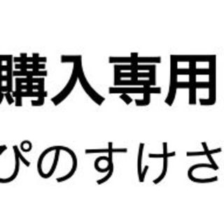 ぴぴのすけさん専用(その他)