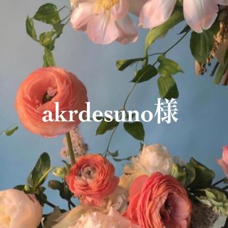 akrdesuno様専用(ロングワンピース/マキシワンピース)