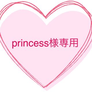 princess様　上履き　17cm(スクールシューズ/上履き)