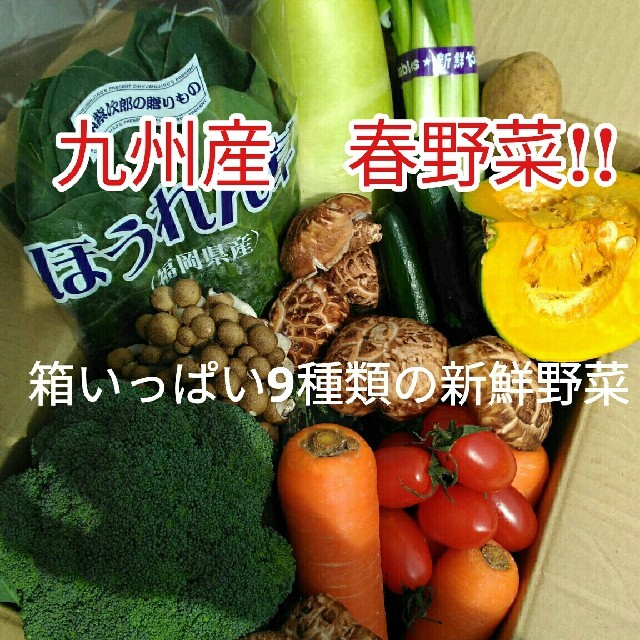九州産新鮮な野菜が入荷しました!! 食品/飲料/酒の食品(野菜)の商品写真