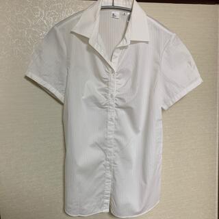 スーツカンパニー(THE SUIT COMPANY)のthe suit company レディースシャツ(シャツ/ブラウス(半袖/袖なし))