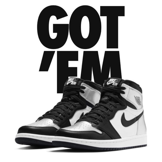 Nike Jordan 1 silver toe 24㎝