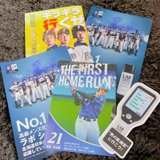 ホッカイドウニホンハムファイターズ(北海道日本ハムファイターズ)の日本ハムファイターズ　グッズ(応援グッズ)