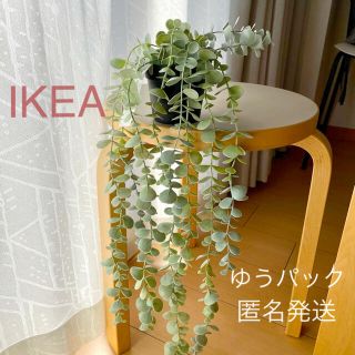 イケア(IKEA)の【新品】IKEA イケア フェイクグリーン（ユーカリ）☆(その他)