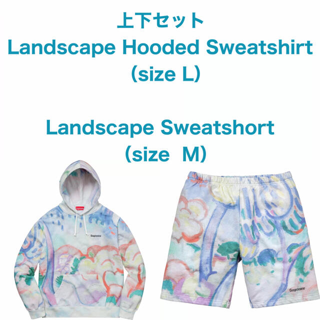 トップスSupreme landscape hooded sweatshirt M