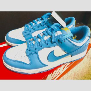 ナイキ(NIKE)の24.5cm NIKE WMNS DUNK LOW COAST(スニーカー)