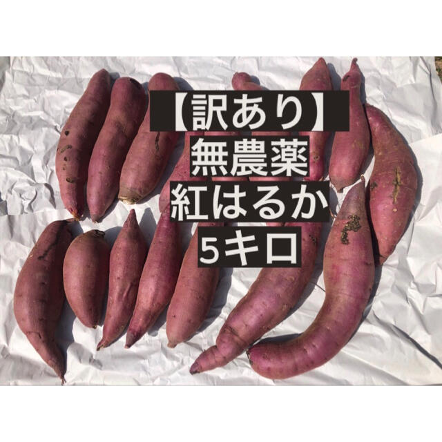 無農薬さつまいも☆紅はるか特大サイズ 箱込み20キロ 愛知県産 無農薬