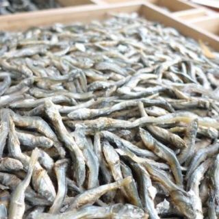 瀬戸内産　カタクチイワシ煮干し　６ｋｇ（５００ｇx１２袋）(乾物)