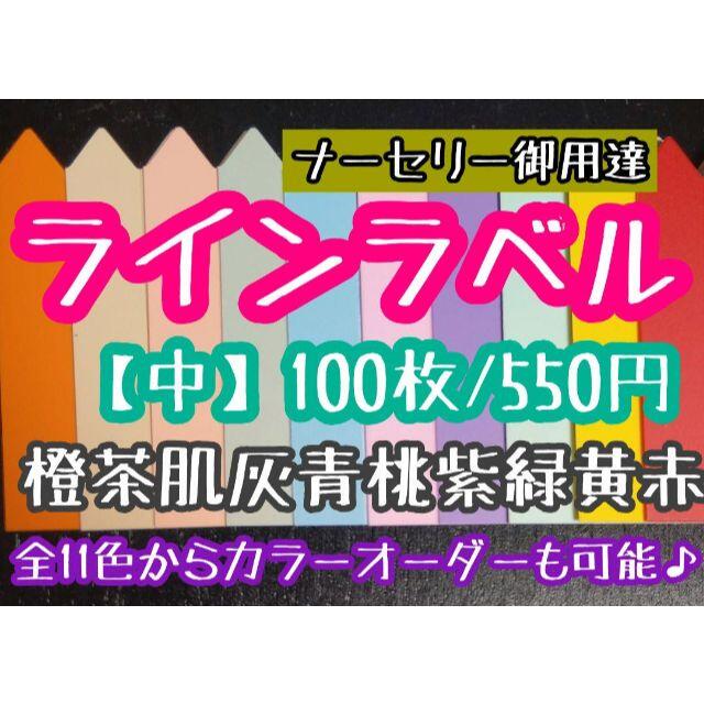 ◎ 100枚 ◎ 10色 ( 中 ) ラインラベル 園芸ラベル カラーラベル ハンドメイドのフラワー/ガーデン(プランター)の商品写真