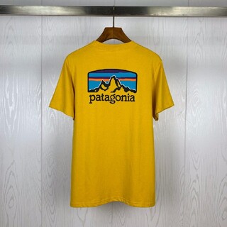 パタゴニア Patagonia 限定 Tシャツ カットソー メンズ の通販 500点以上 パタゴニアのメンズを買うならラクマ