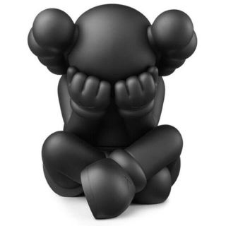 KAWS SEPARATED BLACK(その他)