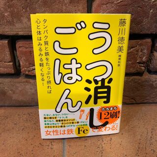 うつ消しごはん タンパク質と鉄をたっぷり摂れば心と体はみるみる軽く(健康/医学)