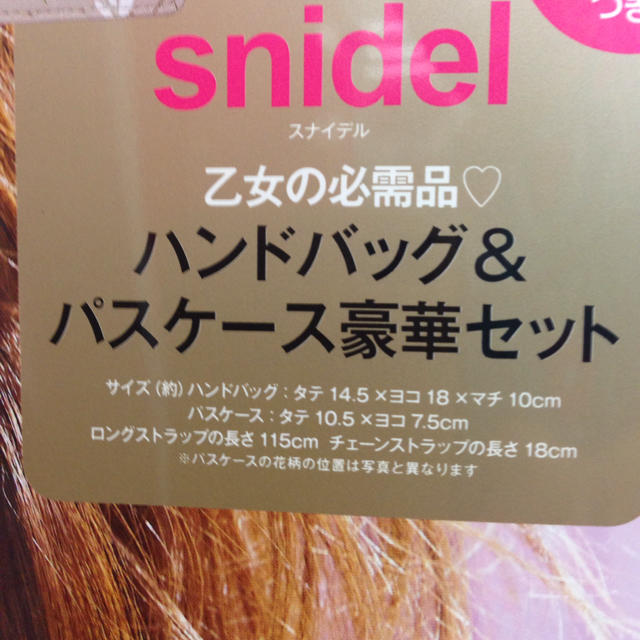 SNIDEL(スナイデル)のスナイデル ♡ハンドバッグ&パスケース レディースのバッグ(ショルダーバッグ)の商品写真