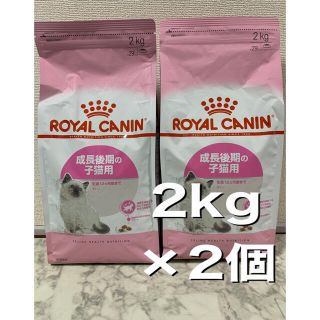 ロイヤルカナン(ROYAL CANIN)のロイヤルカナン FHN キトン (成長後期子猫用)2kgｘ2個(ペットフード)